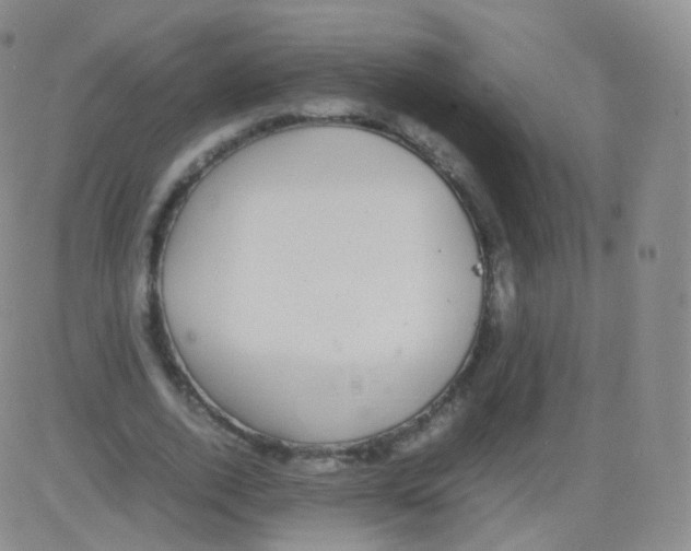 X0000082690728200702232204