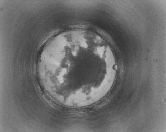 X0000082690729200702232204