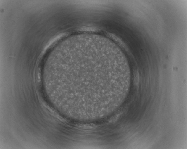 X0000082690731200702232204