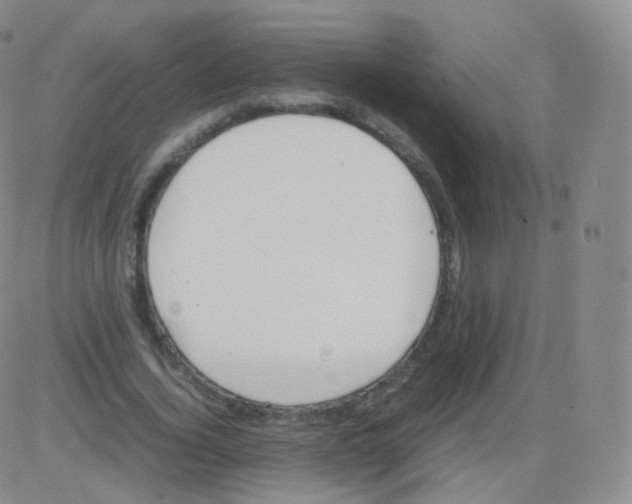 X0000082690732200702232204