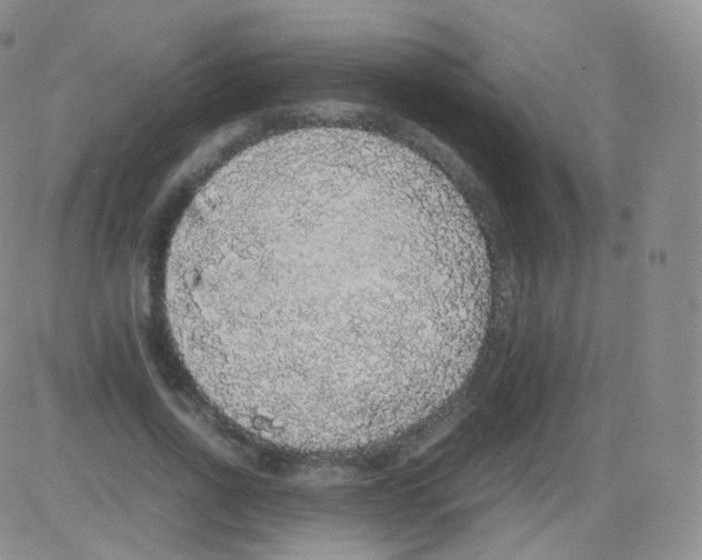 X0000082690734200702232204