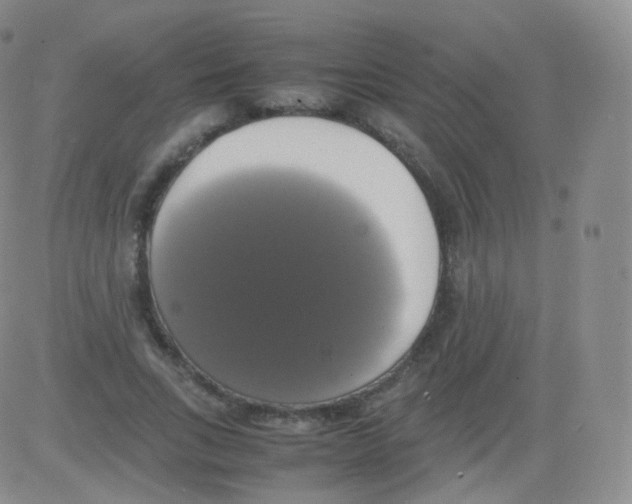 X0000082690735200702232204