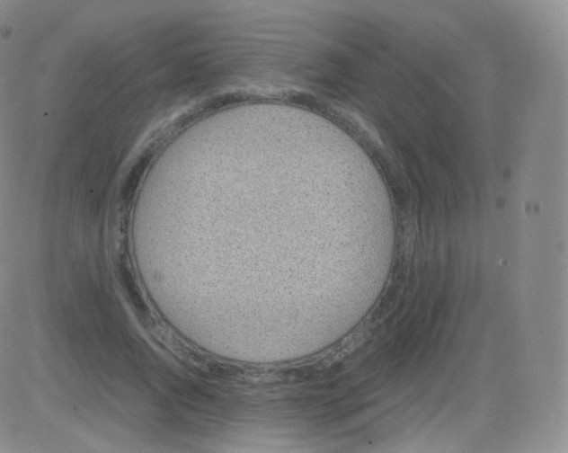 X0000082690736200702232204