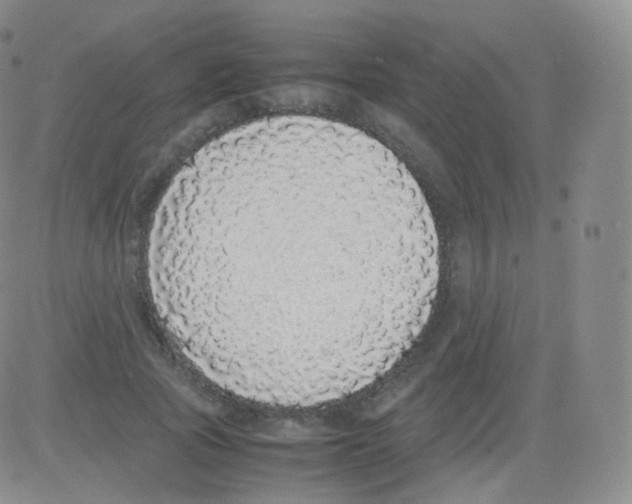 X0000082690737200702232204