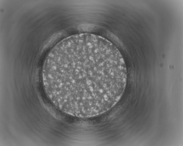 X0000082690738200702232204