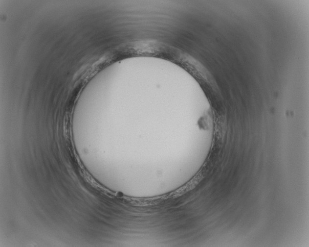 X0000082690740200702232204