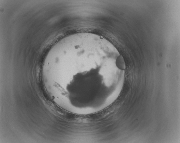 X0000082690742200702232204