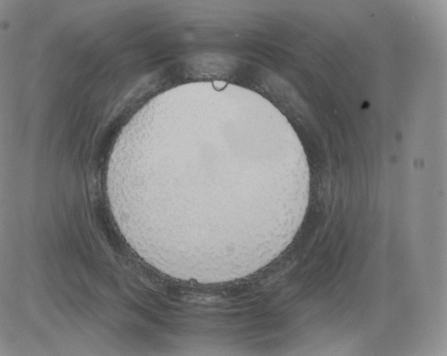 X0000082690743200702232204