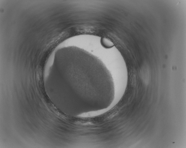 X0000082690747200702232204