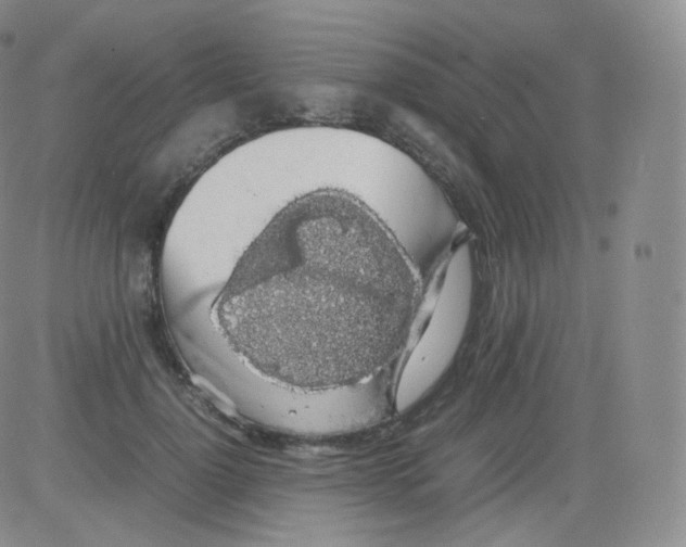 X0000082690748200702232204