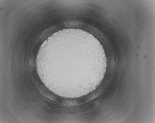 X0000082690749200702232204