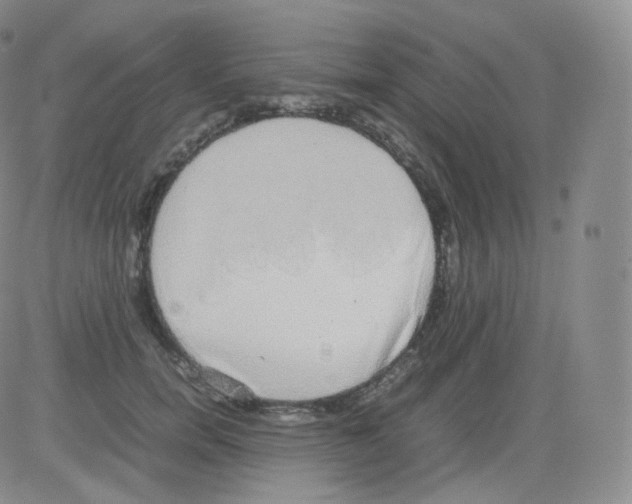 X0000082690750200702232204