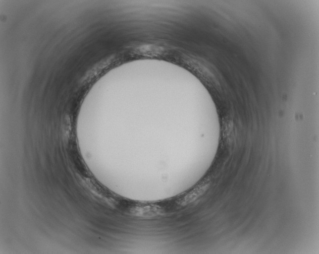 X0000082690752200702232204