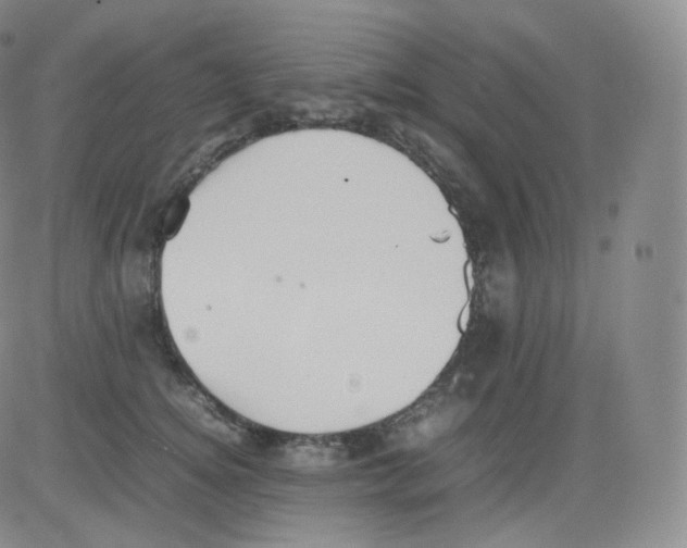 X0000082690756200702232204