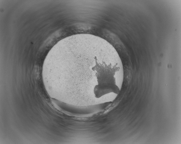 X0000082690758200702232204