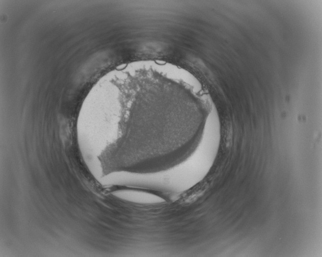 X0000082690759200702232204