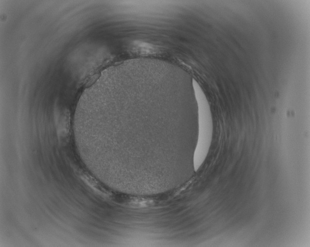 X0000082690760200702232204