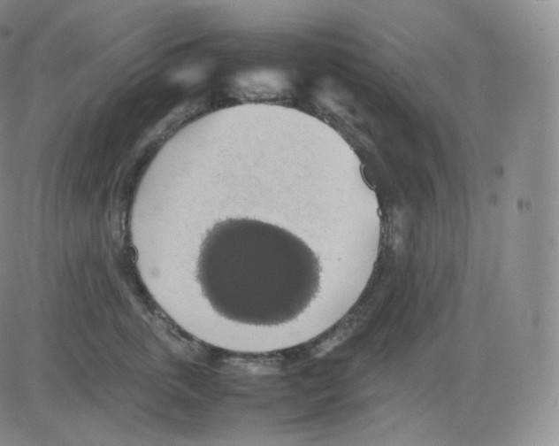 X0000082690763200702232204