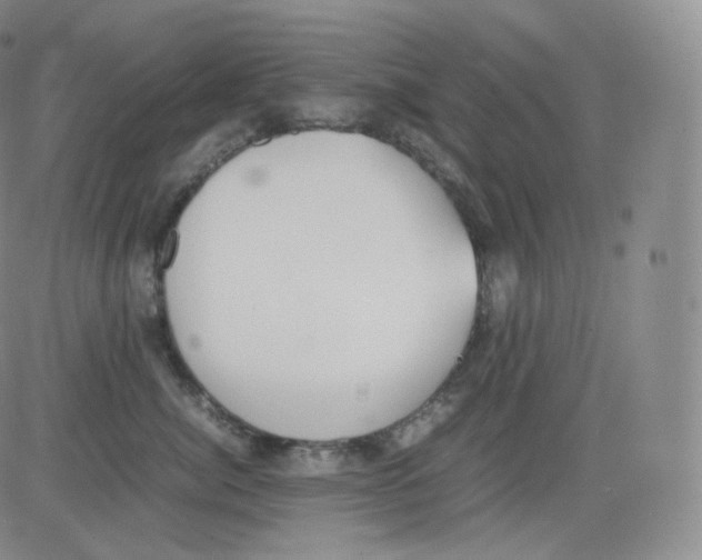 X0000082690764200702232204