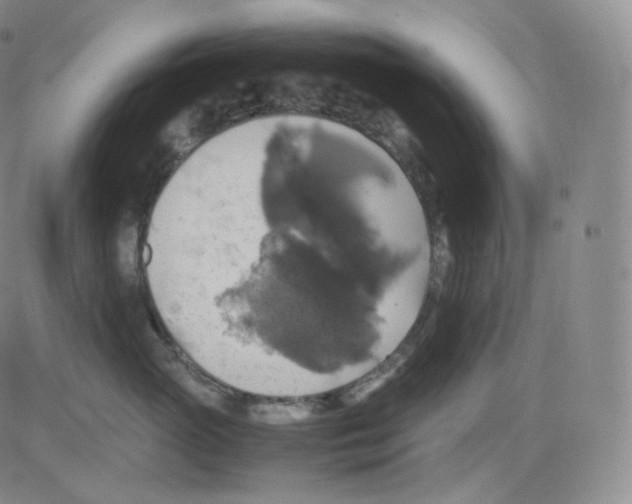 X0000082690765200702232204