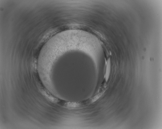 X0000082690766200702232204