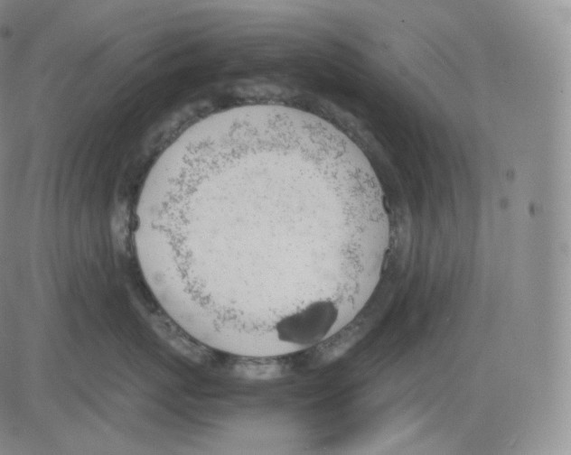 X0000082690767200702232204