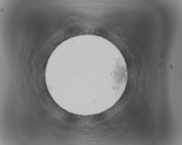 X0000082690769200702232203