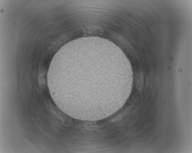 X0000082690770200702232203