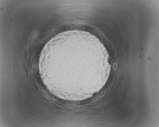 X0000082690771200702232203