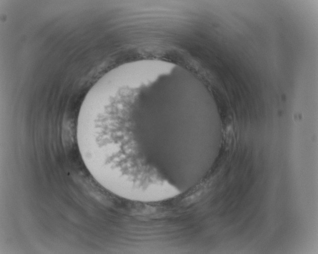 X0000082690772200702232203