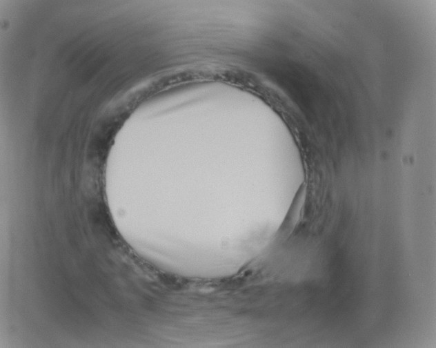 X0000082690773200702232203