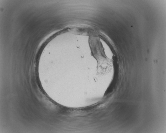 X0000082690779200702232203