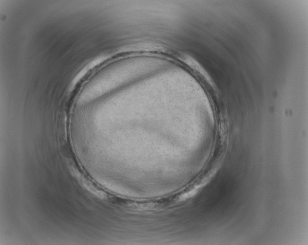 X0000082690781200702232203