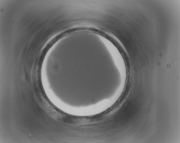 X0000082690783200702232203