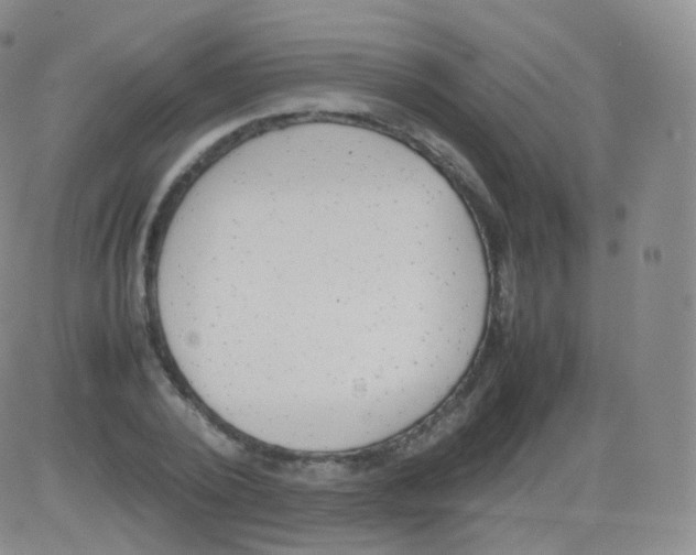 X0000082690784200702232203