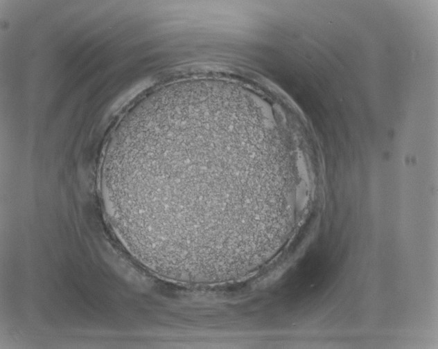 X0000082690785200702232203