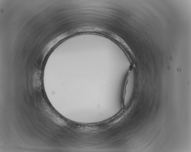 X0000082690786200702232203