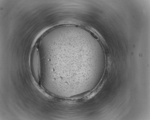 X0000082690788200702232203