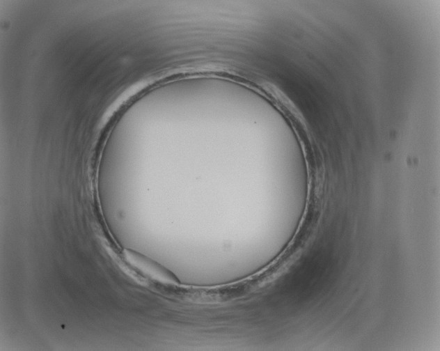 X0000082690789200702232203