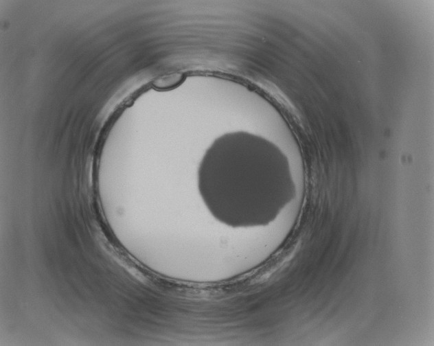 X0000082690790200702232203