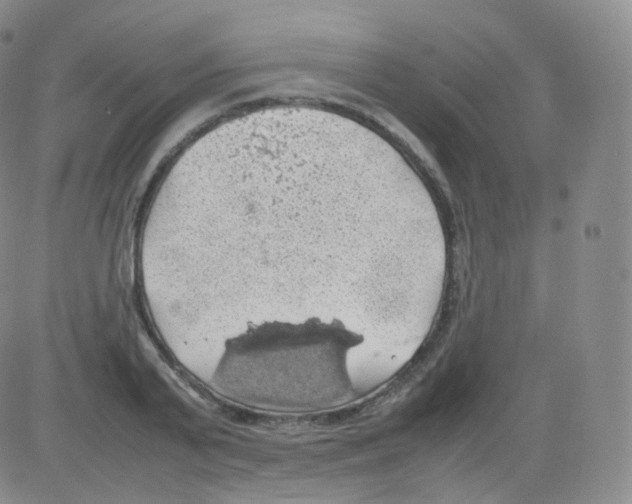 X0000082690791200702232203