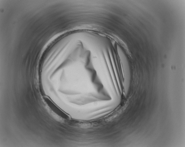 X0000082690792200702232203