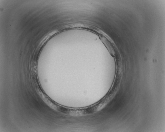 X0000082690793200702232203