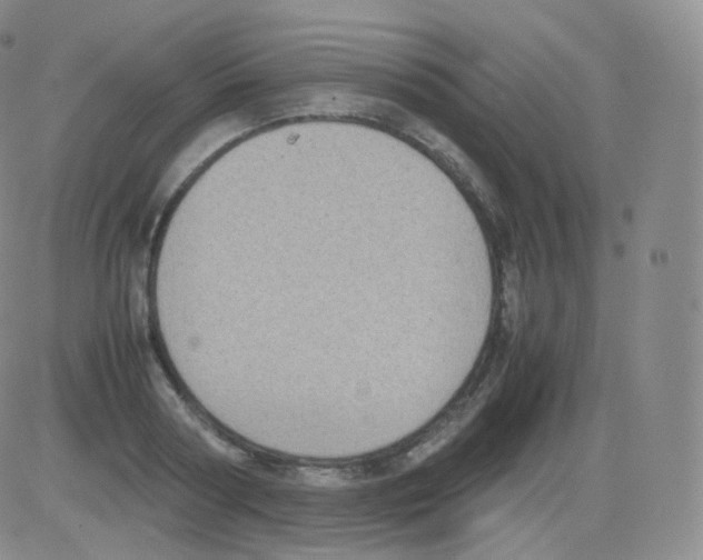 X0000082690794200702232203