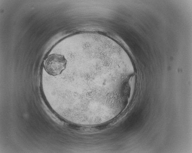 X0000082690795200702232203