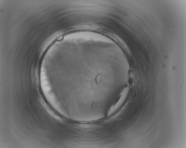 X0000082690796200702232203