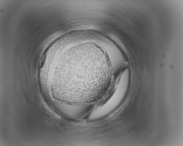 X0000082690797200702232203