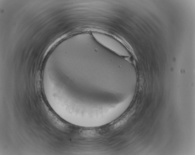 X0000082690798200702232203