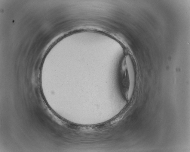 X0000082690799200702232203