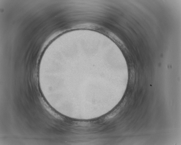 X0000082690800200702232203